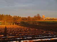 58-Spaziergang-20081130.jpg