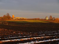 60-Spaziergang-20081130.jpg